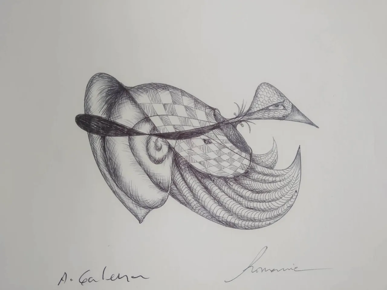 dibujo371B.jpg