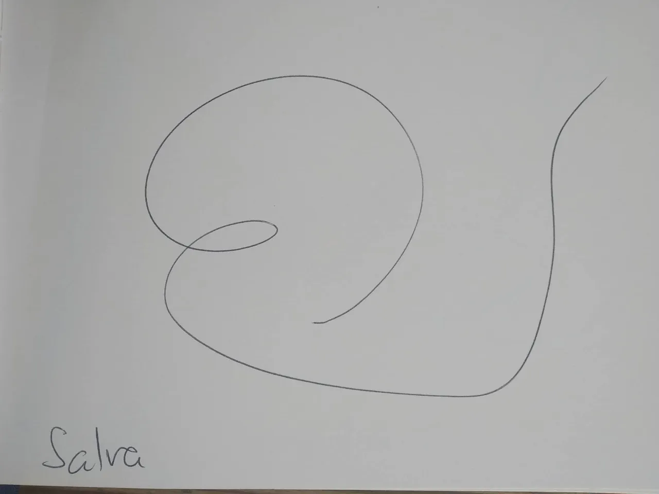 dibujo381A.jpg