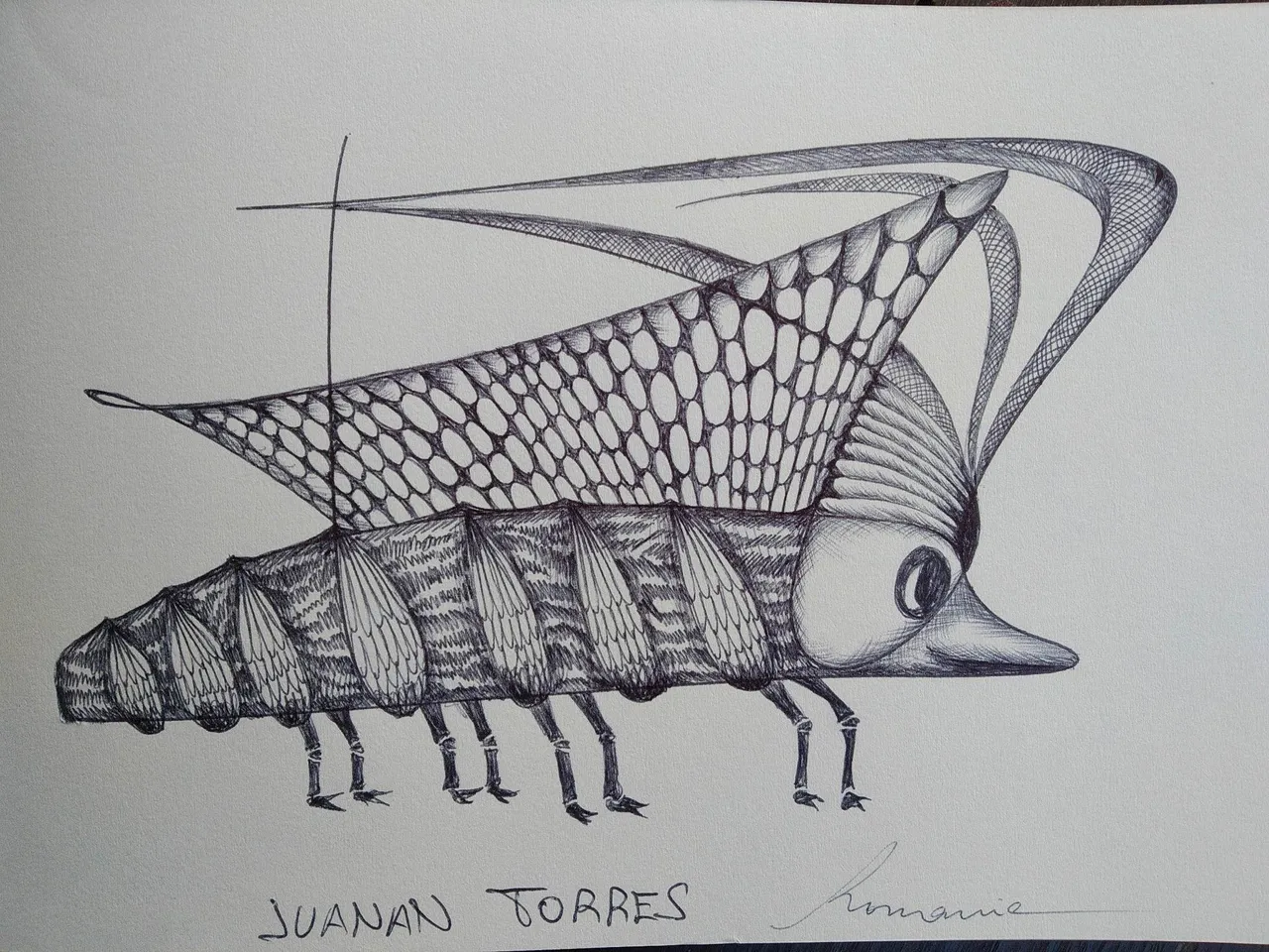 dibujo522B.jpg