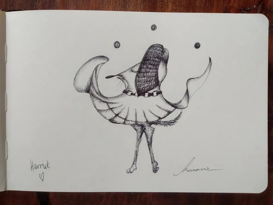dibujo206B.jpg