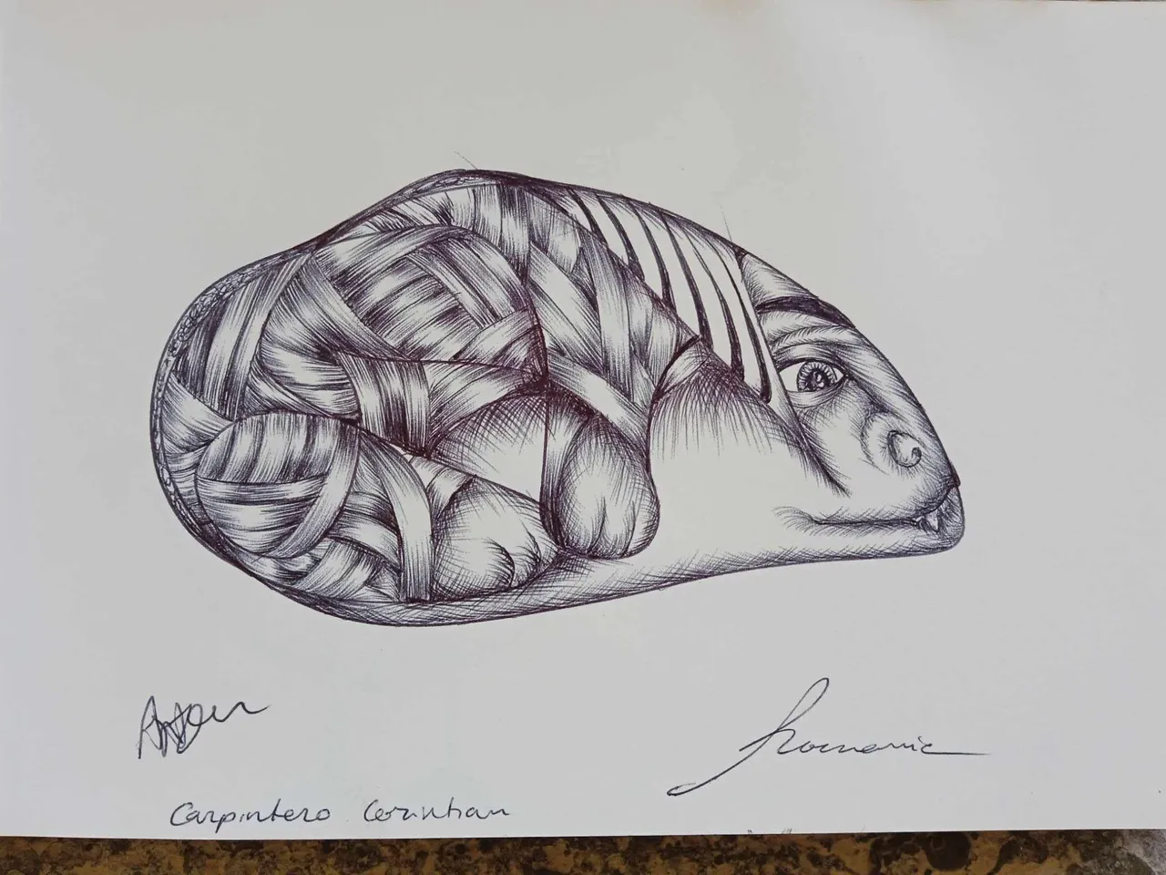 dibujo789B.jpg