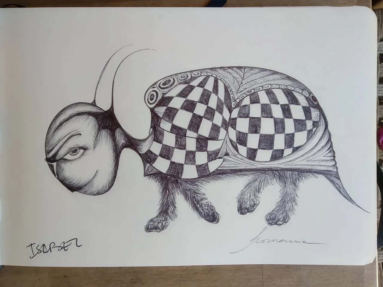 dibujo272B.jpg