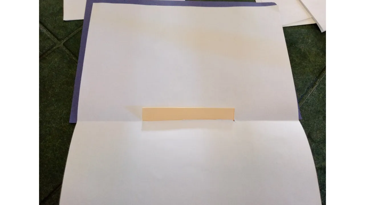1000163653.png