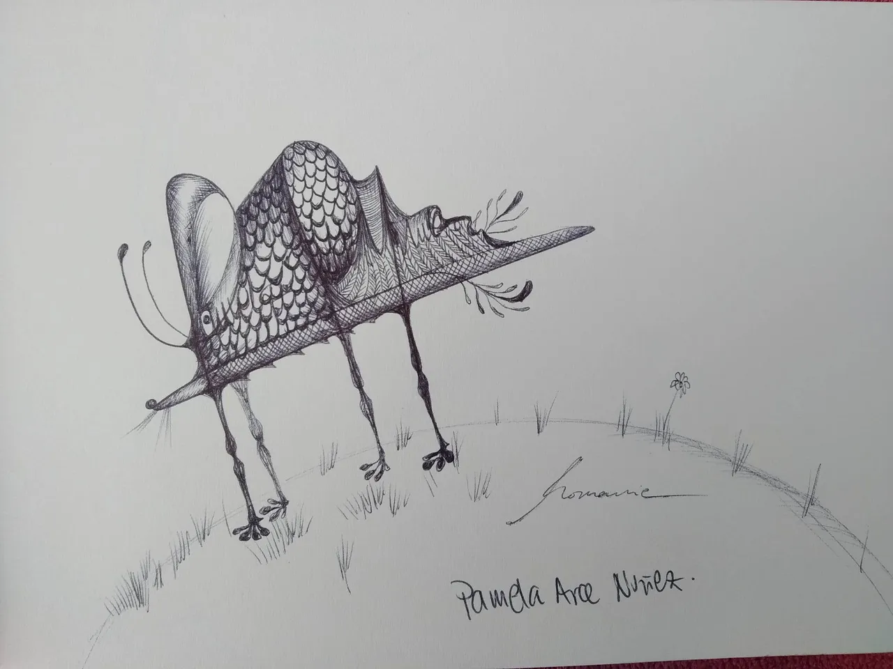 dibujo476B.jpg
