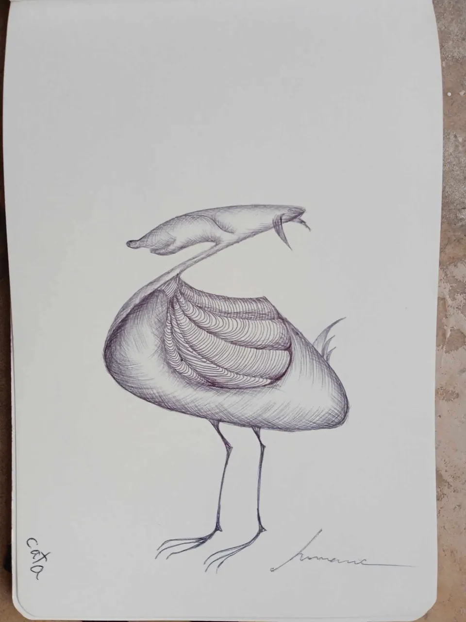 dibujo732B.jpg