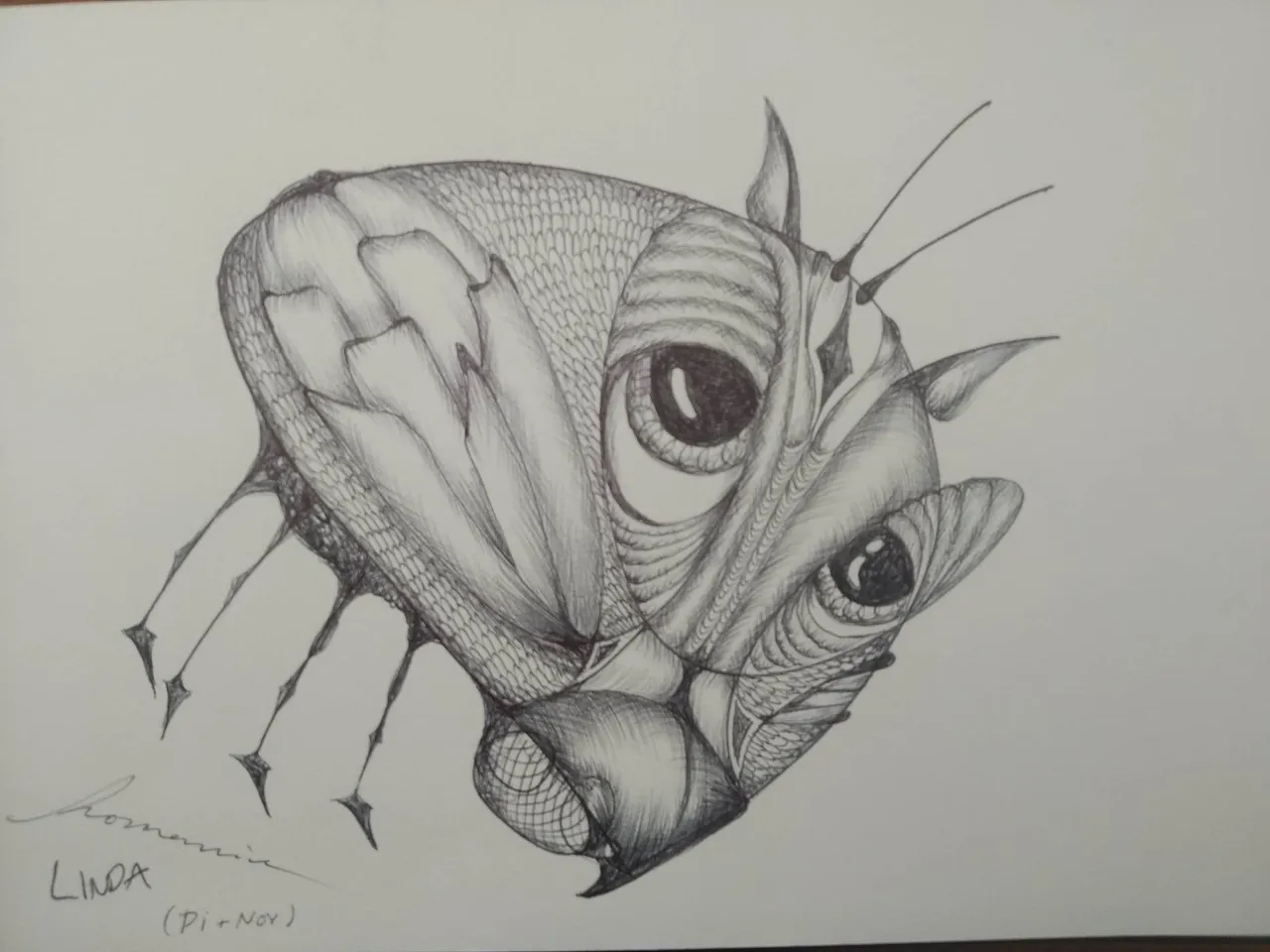 dibujo572B.jpg