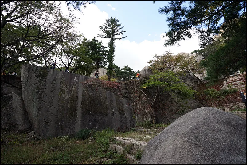 w-DSC08578.jpg