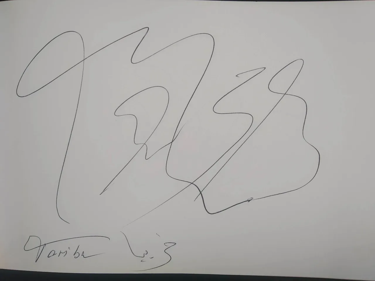 dibujo570A.jpg