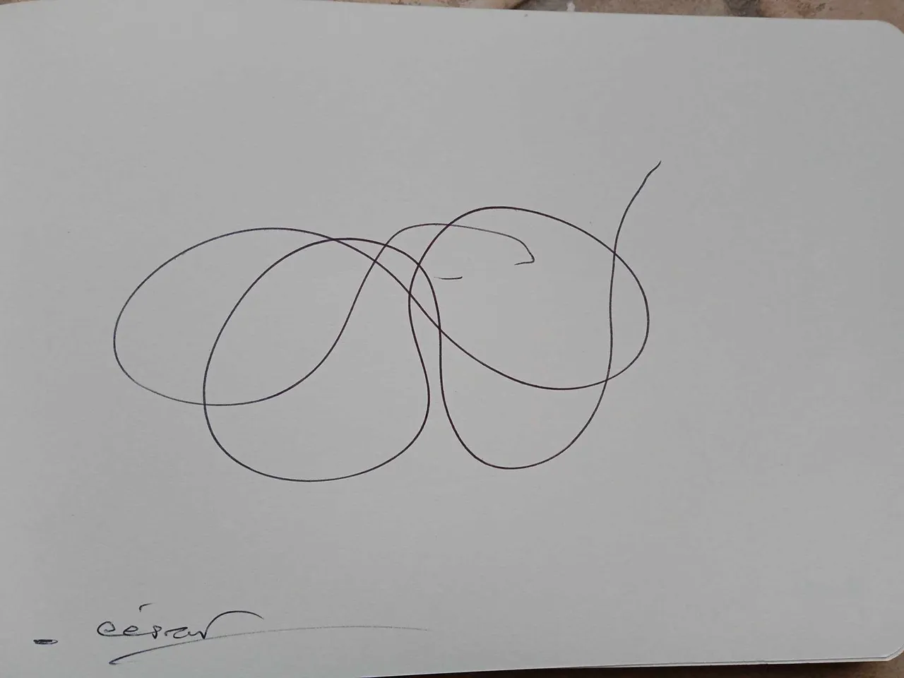 dibujo772A.jpg
