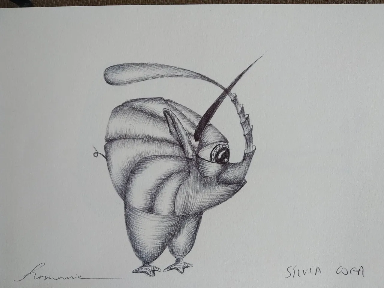 dibujo540B.jpg