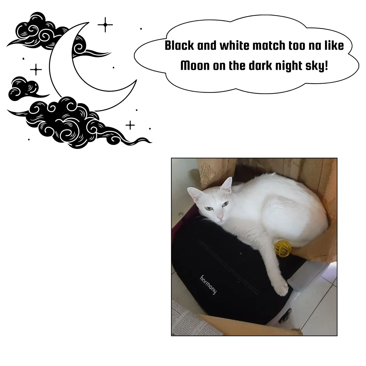 moon_white.jpg