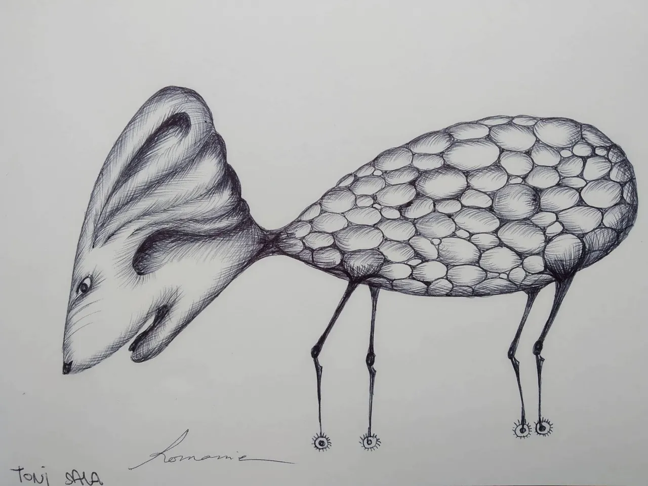 dibujo351B.jpg