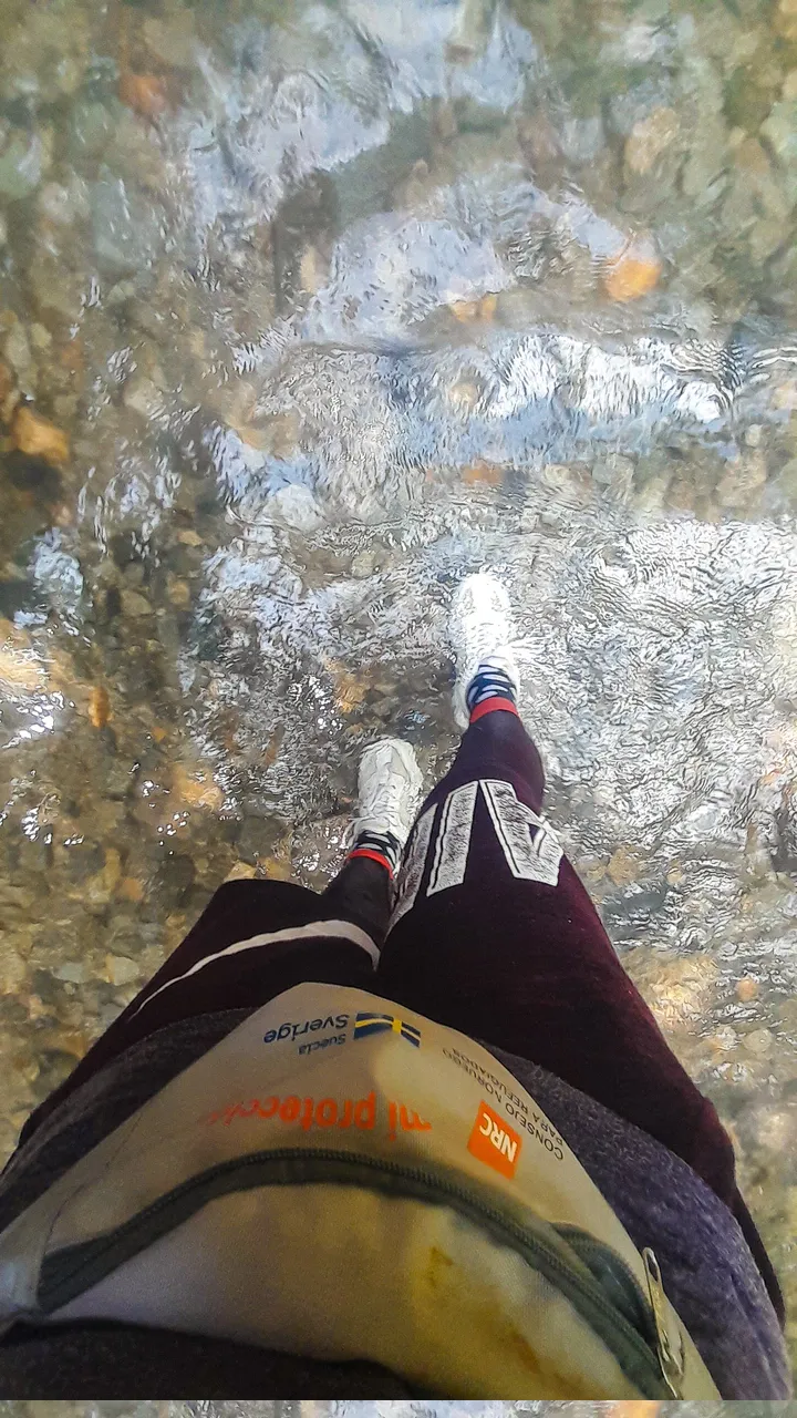 1000314525.jpg