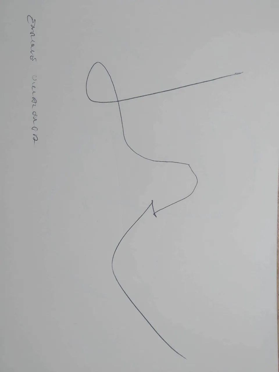 dibujo399A.jpg
