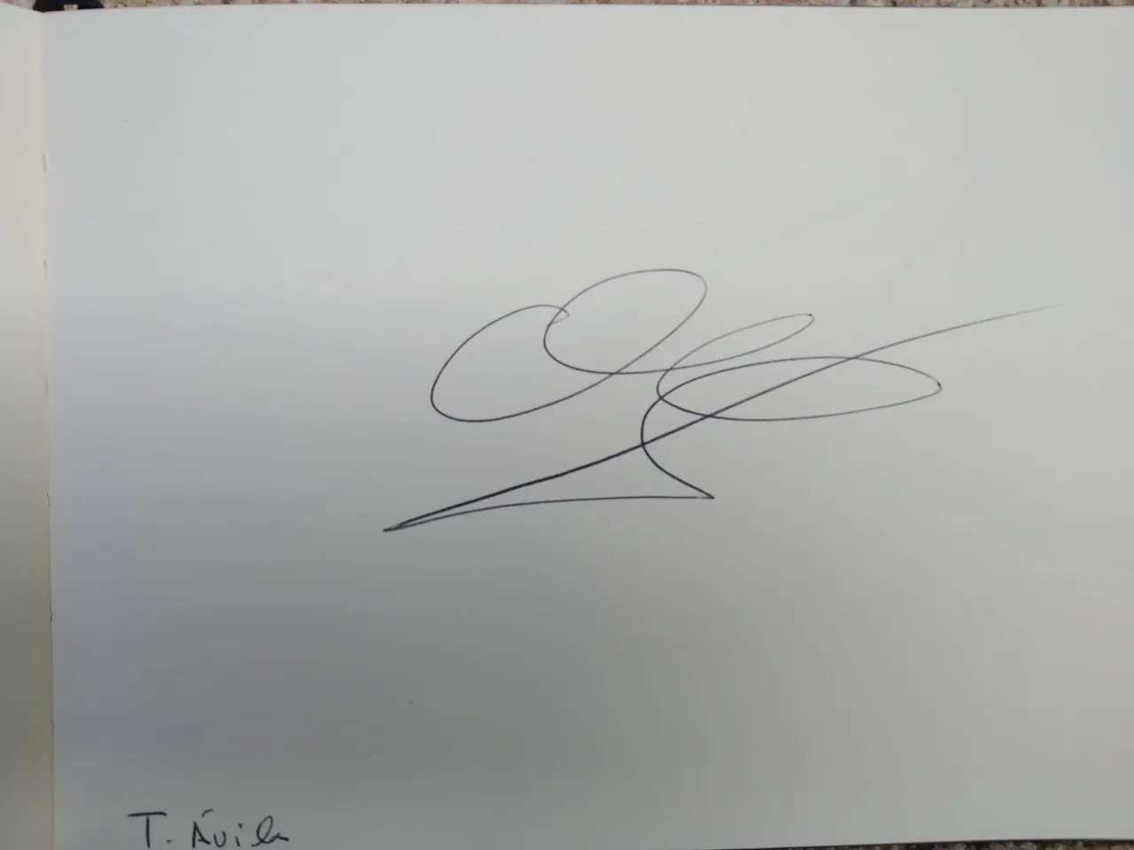 dibujo335A.jpg
