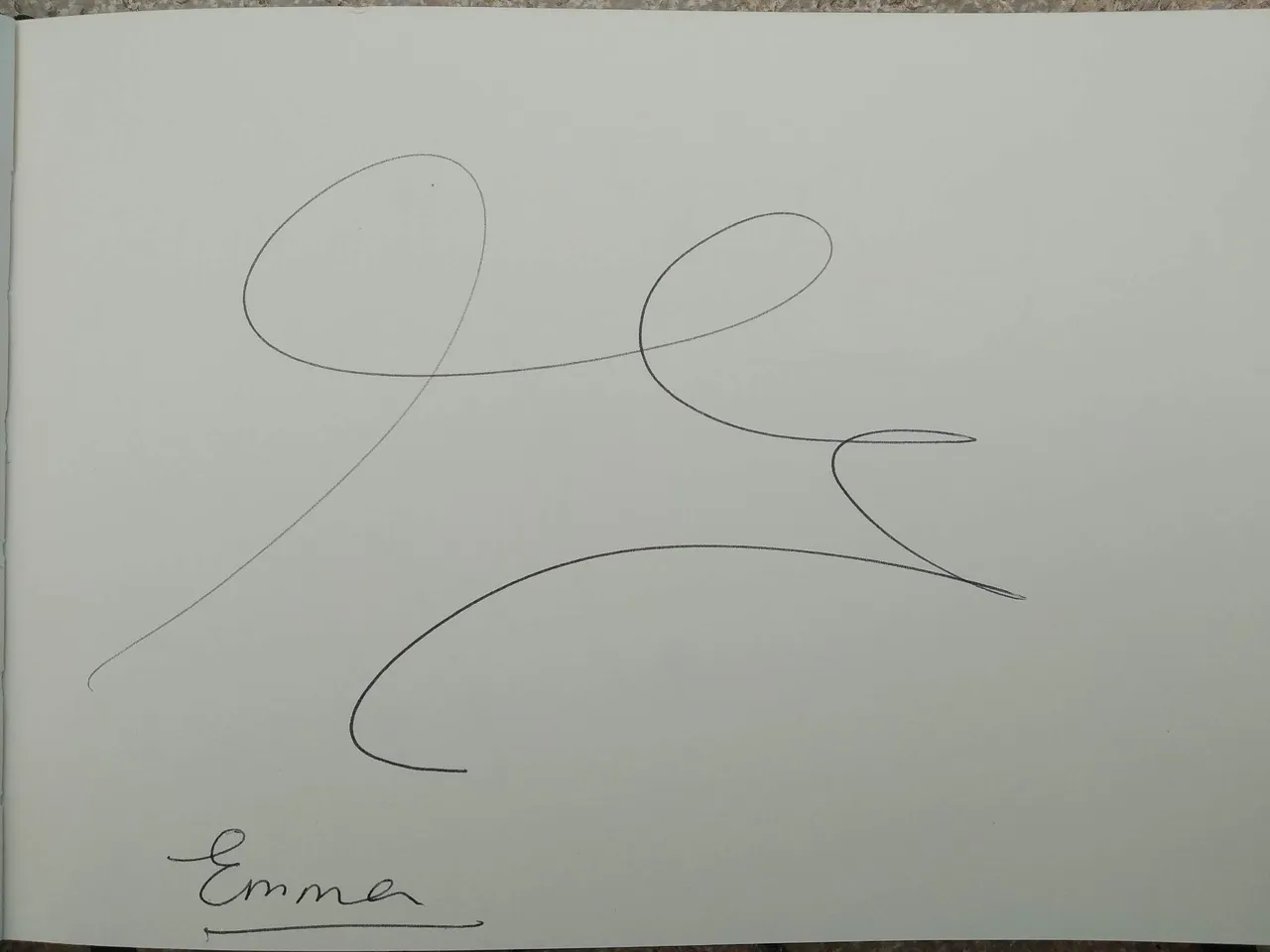 dibujo534A.jpg