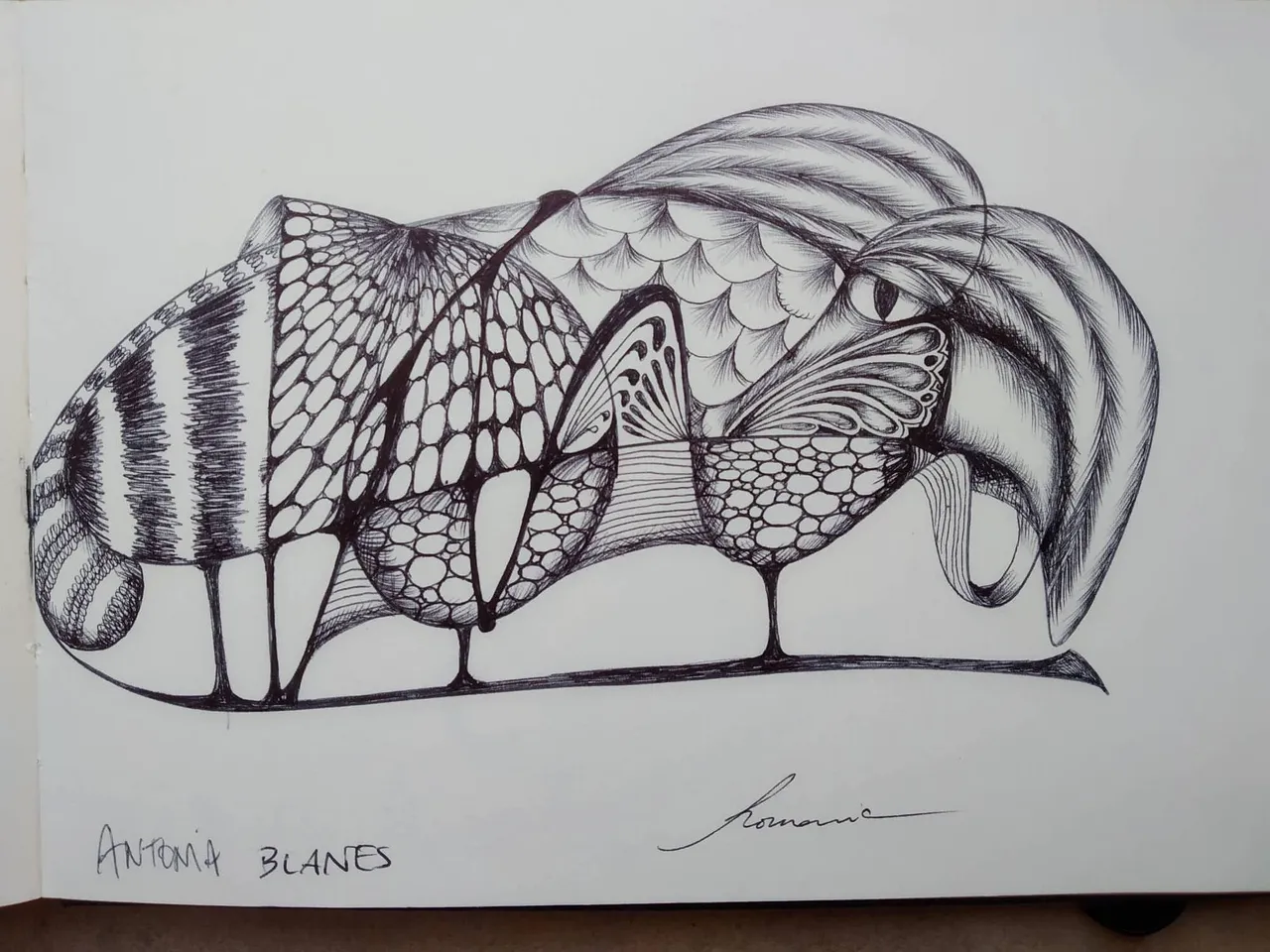 dibujo339B.jpg