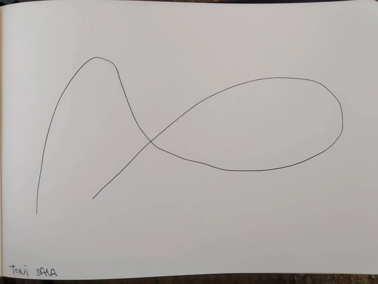 dibujo351A.jpg
