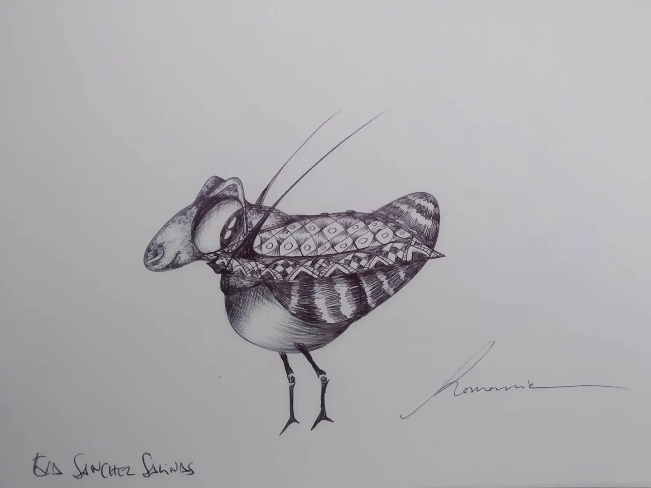 dibujo625B.jpg