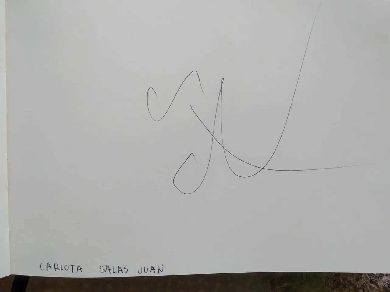 dibujo366A.jpg