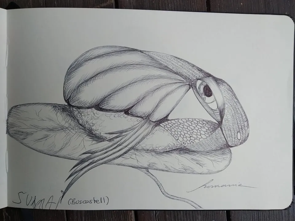dibujo259B.jpg