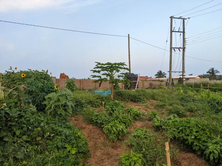 Garden 5.jpg