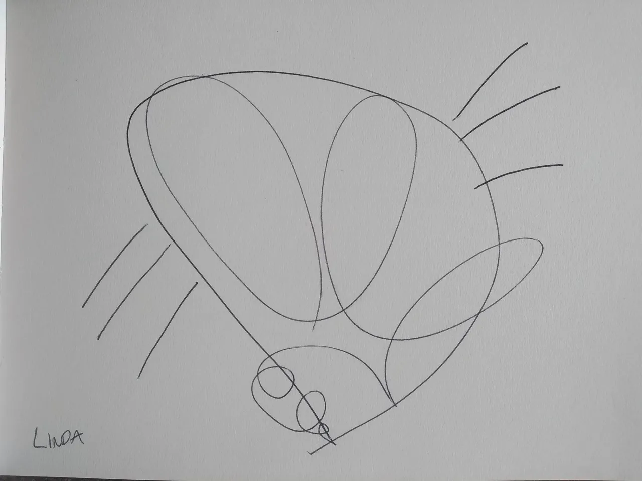 dibujo572A.jpg