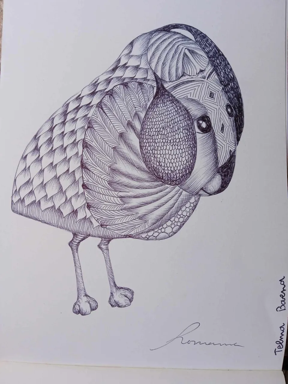 dibujo768B.jpg