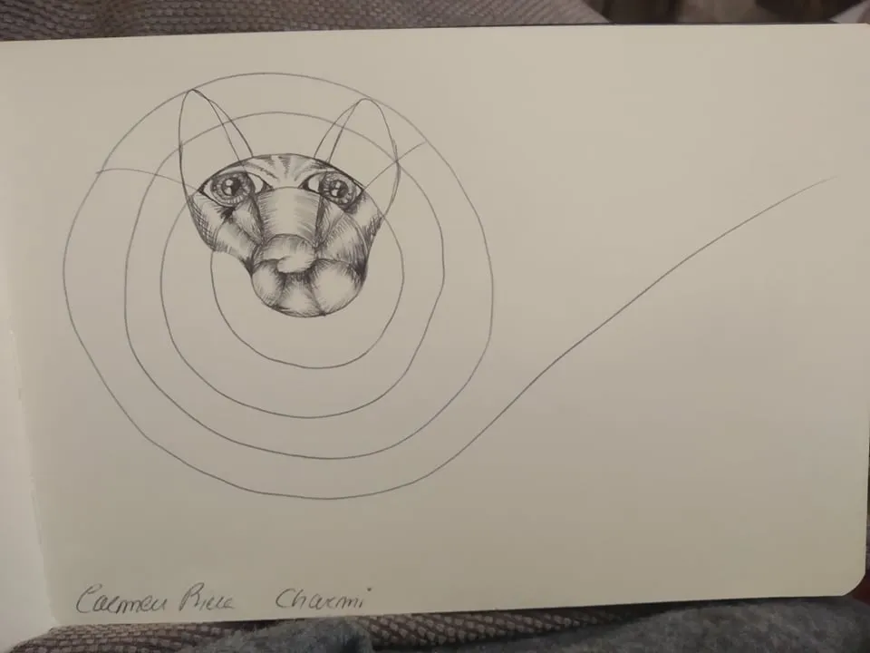 dibujo145B.jpg
