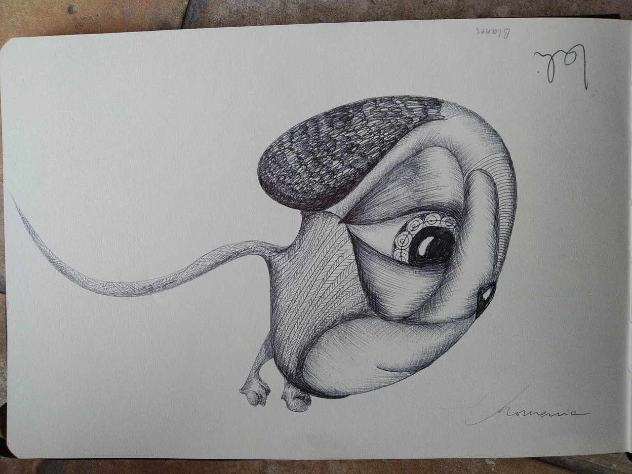 dibujo582B.jpg