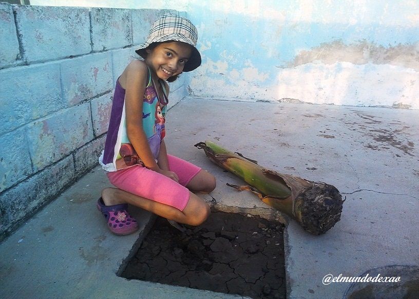01-Siembra.jpg