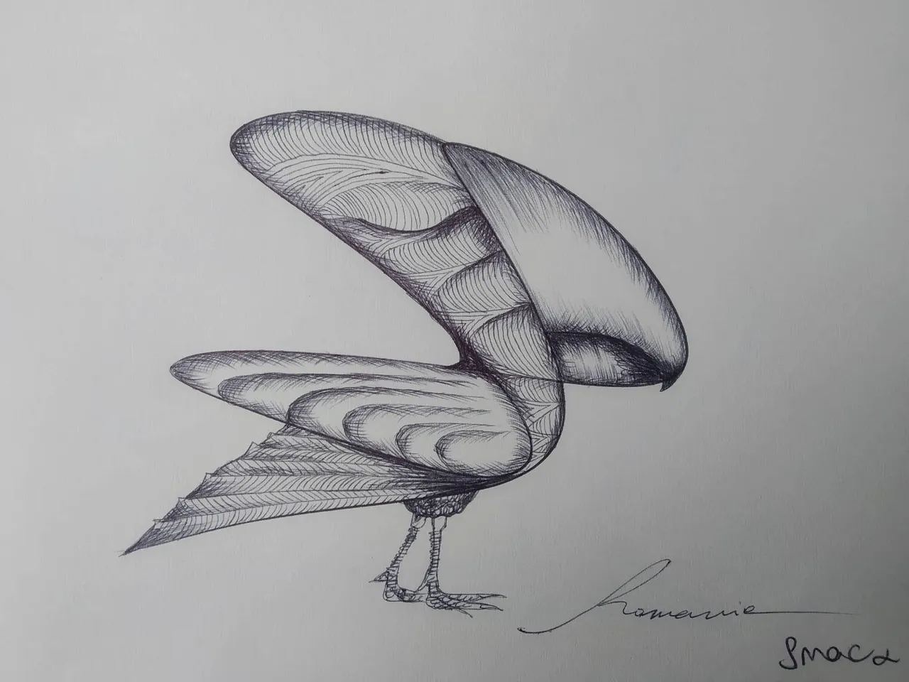 dibujo279B.jpg