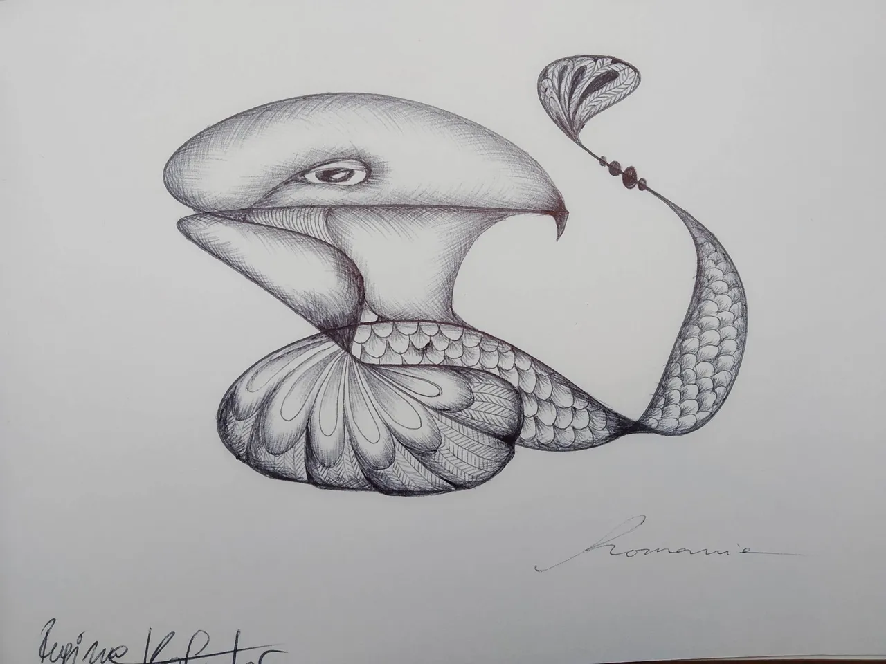 dibujo555B.jpg