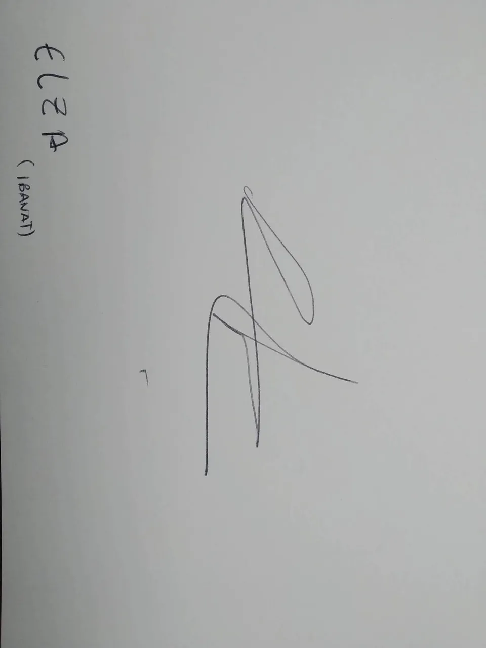 dibujo442A.jpg