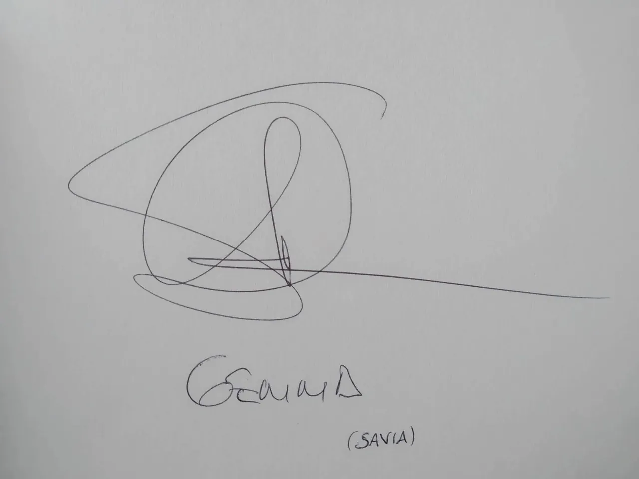 dibujo455A.jpg