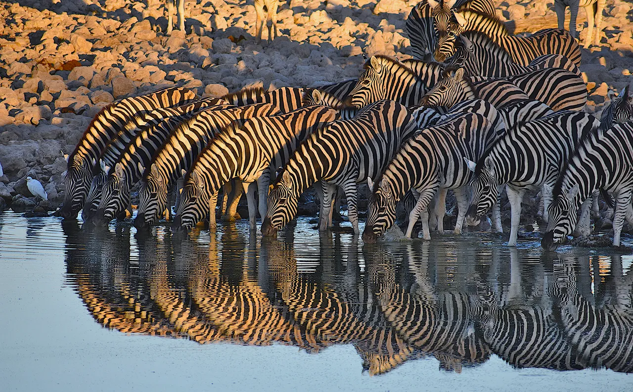 Namibie-75.jpg