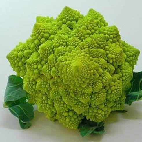 romanescu1.jpg