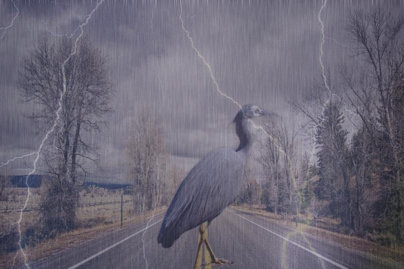 rain gif.gif
