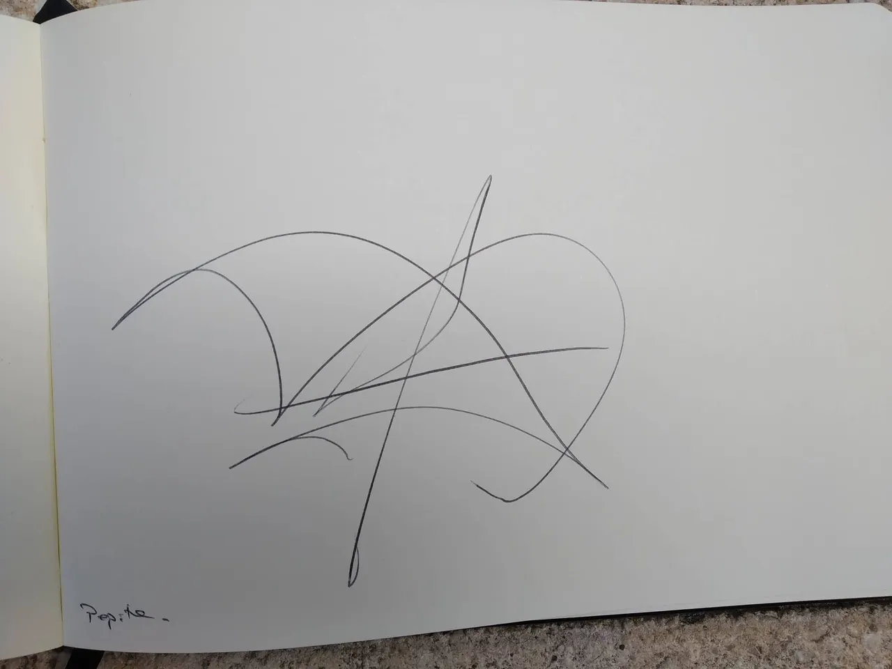 dibujo334A.jpg