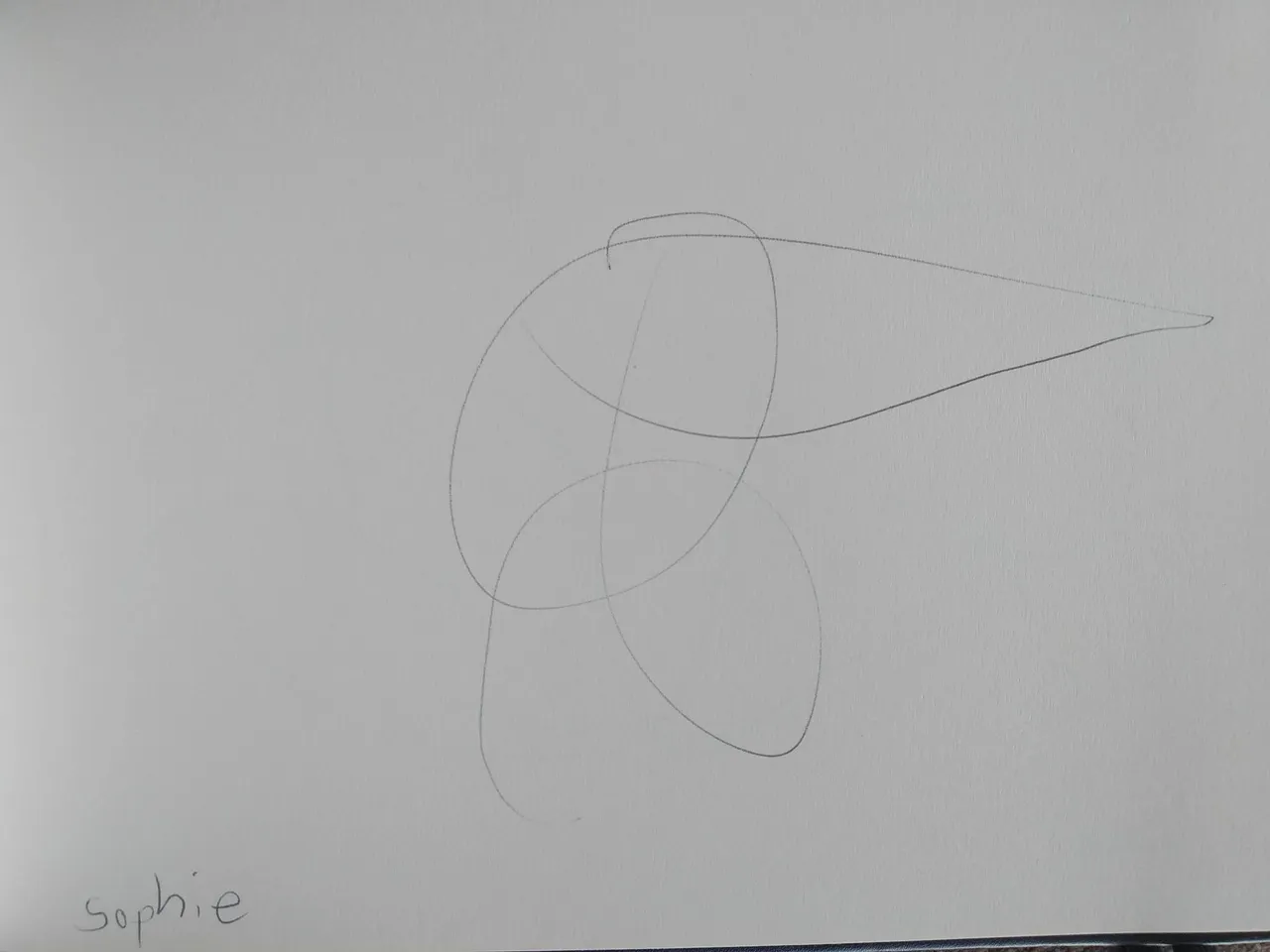 dibujo578A.jpg