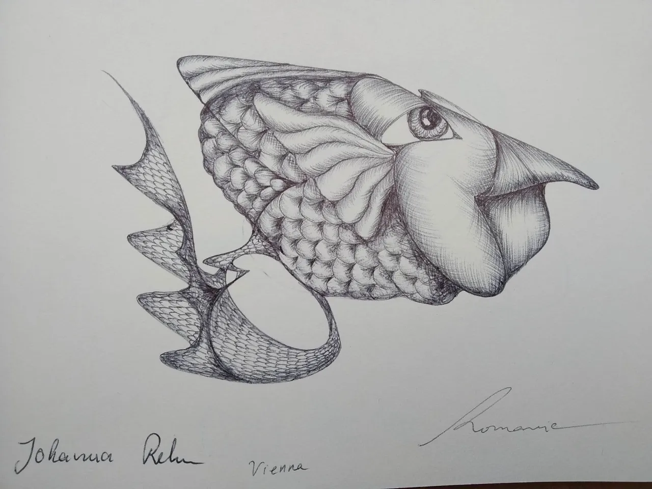 dibujo564B.jpg