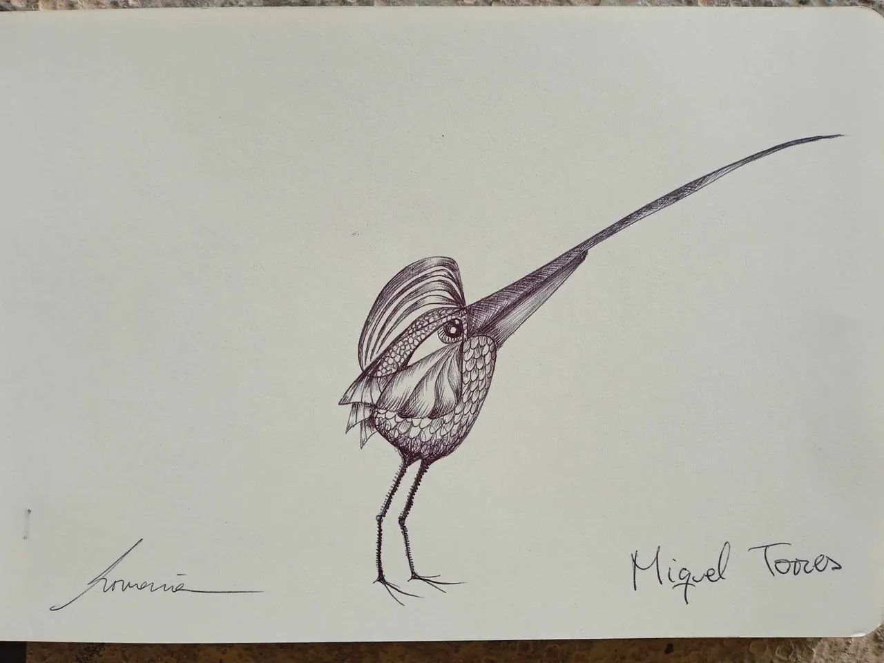dibujo773B.jpg