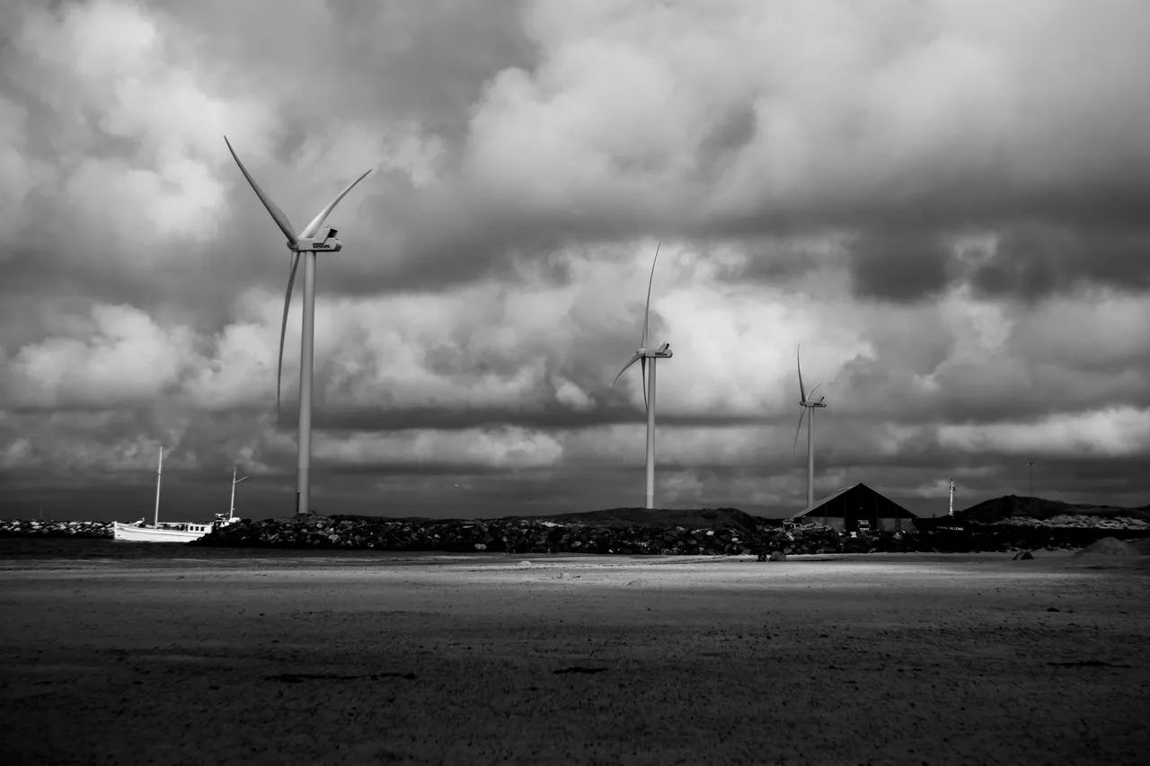 P1001414-1.jpg