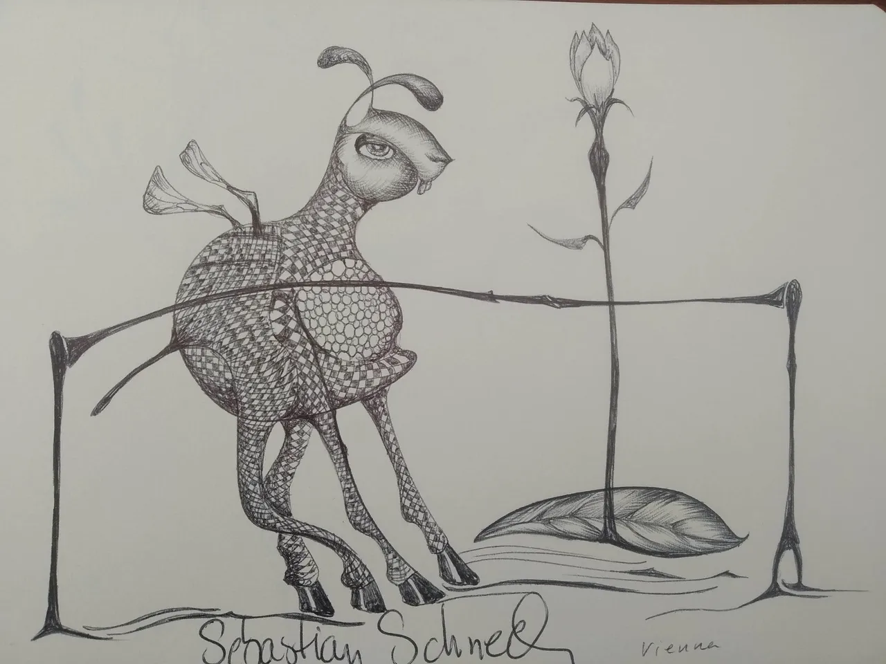 dibujo566B.jpg