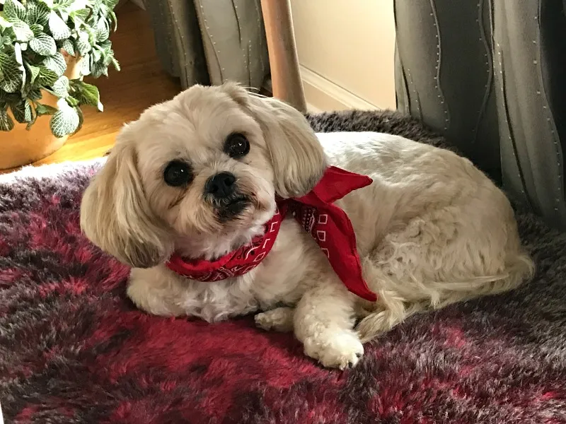 coco (2).jpg