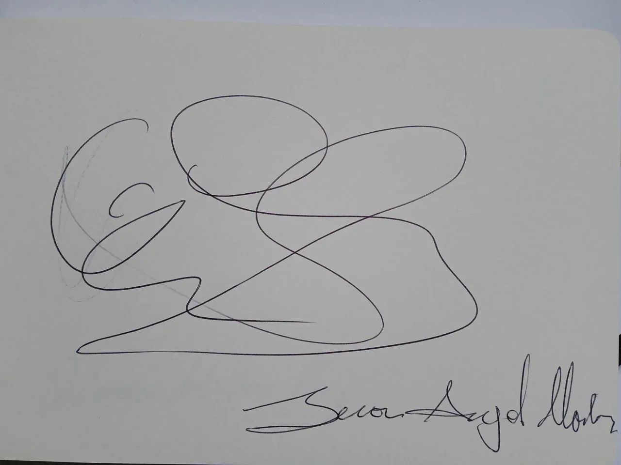 dibujo860A.jpg