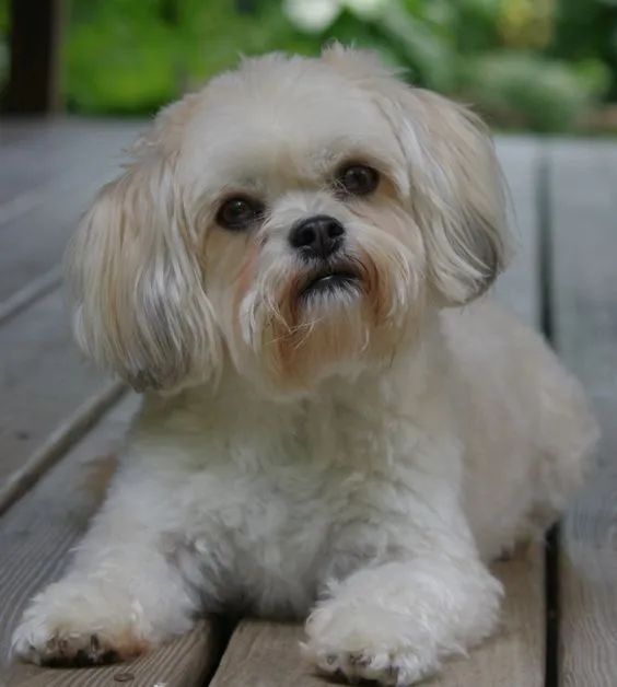 coco (3).jpg