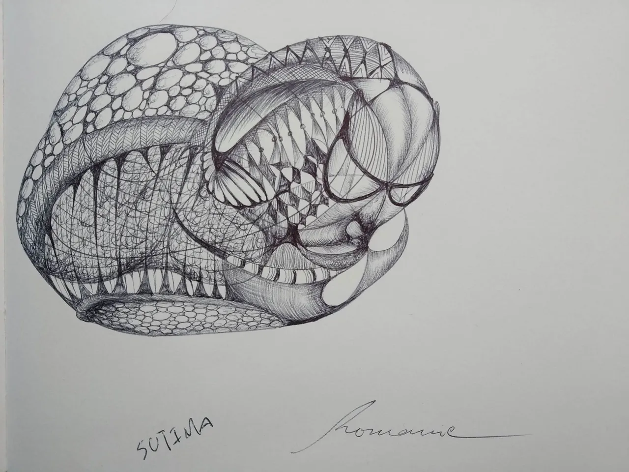 dibujo587B.jpg