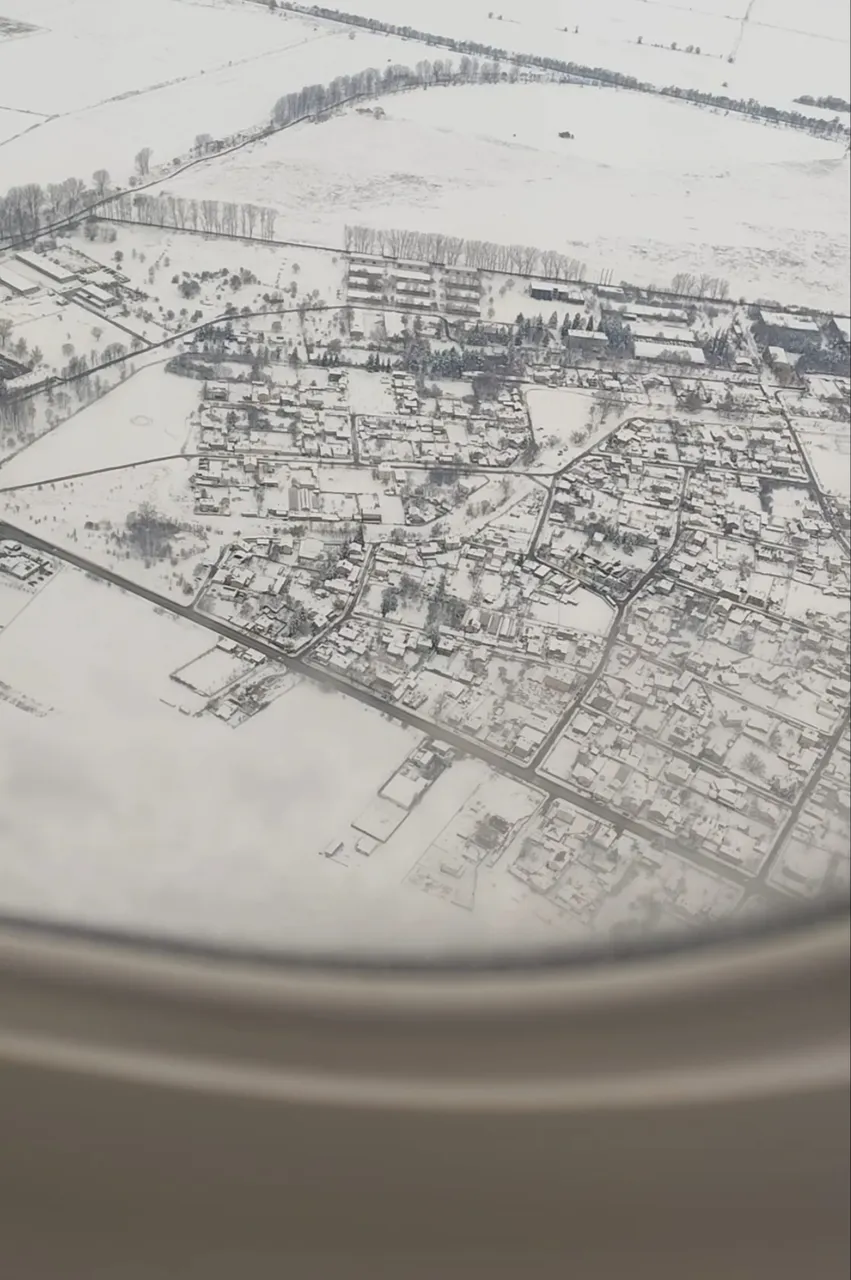 1000011695.jpg