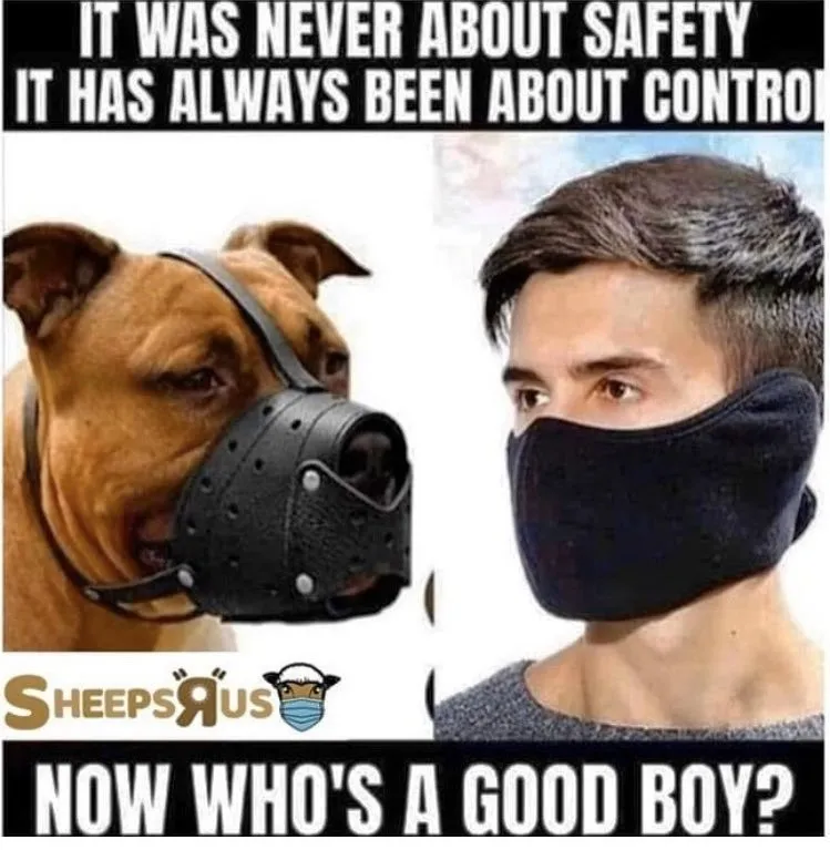 good boy.jpg